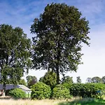 Lindershoeve Nocleg ze śniadaniem 3*