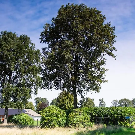 Lindershoeve Bed & Breakfast *