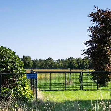 Lindershoeve